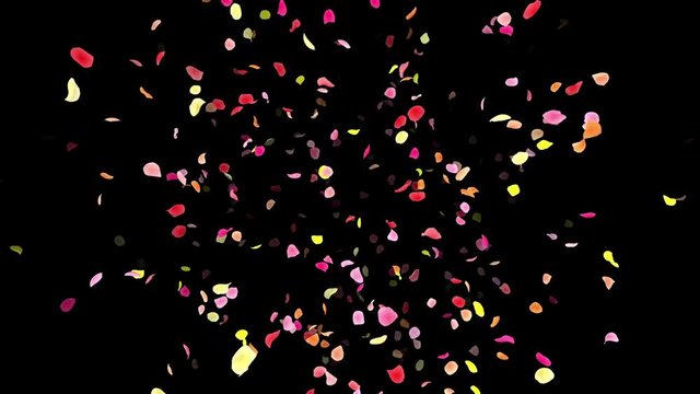 Colorful Flower Petals fluttering background