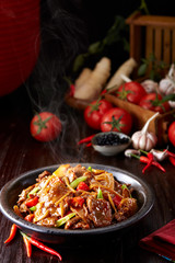 Delicious Chinese cuisine, beef with tomato and skin in clay pot