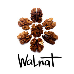 Pattern of Walnuts - peeled walnut on a white background in the form of a circle. Concepts about decoration, healthy eating and food background.