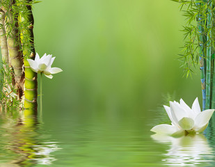 composition aquatique avec bambous et fleurs blanches de lotus - obrazy, fototapety, plakaty