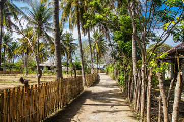 Fototapeta na wymiar A rural corner of a tropical island the tropical island of Gili Meno. Indonesia