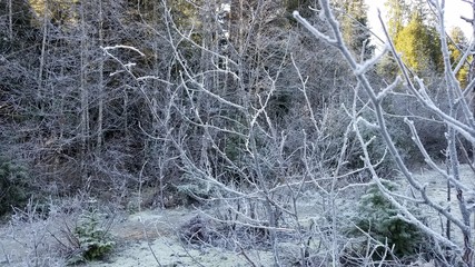 Mt Baker Washington - Pacific Northwest