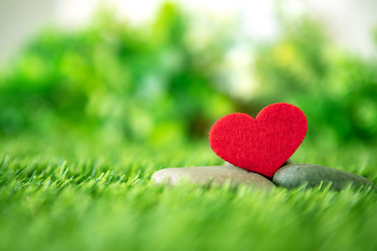 close up red heart shape on green fresh grass , good relax and love romance feeling symbol , valentines day background