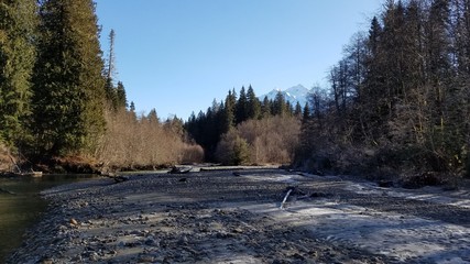 Mt Baker Nature Hike In the Winter