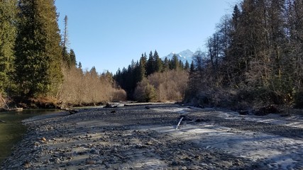 Mt Baker Nature Hike In the Winter