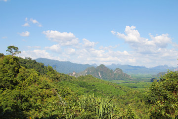 Panorama of jungle in Thailand