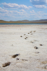  Trail of the beast on the lake