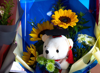 Teddy bear for congratulation gift.