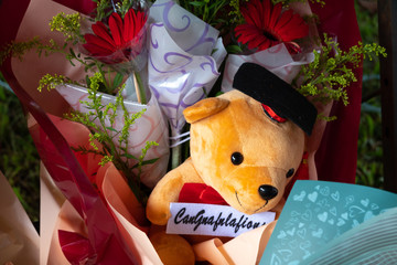 Teddy bear for congratulation gift.