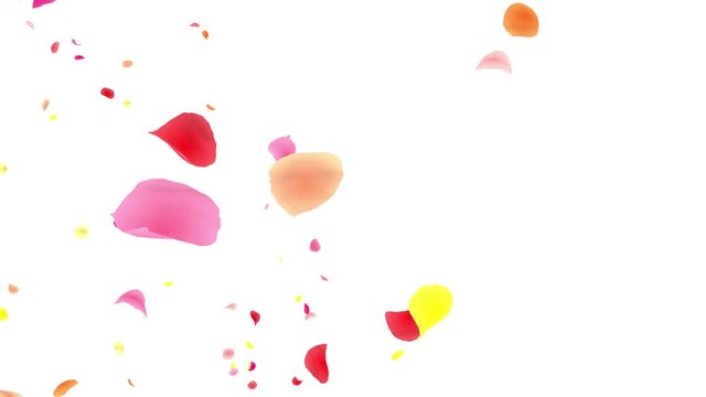 Colorful Flower Petals fluttering background