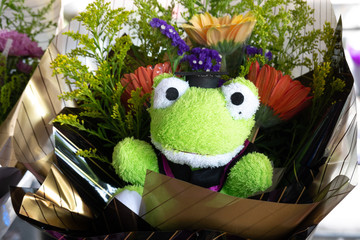 Teddy bear for congratulation gift.