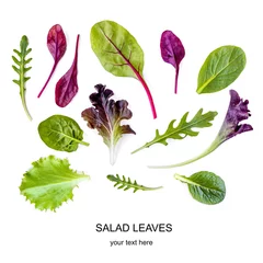 Poster Salad leaves Pattern. Isolated Mix Salad leaves with Spinach, Chard, lettuce, rucola on the white background.. © nataliazakharova