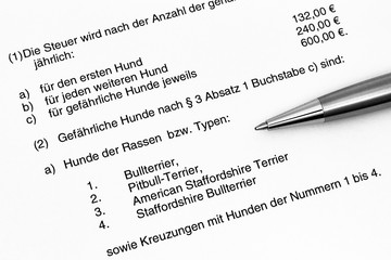 Fototapeta premium Kampfhundesteuer