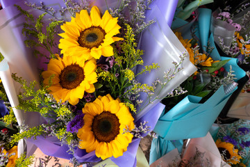 Teddy bear for congratulation gift.
