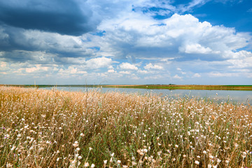 Beautiful summer landscape - wildflowers, lake and beautiful sky.