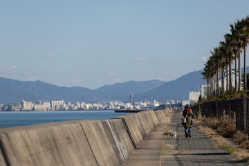 海沿いの防波堤