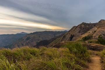 Parunthumpara is a village in the Indian state of Kerala's Idukki District. It is a small scenic location near Wagamon en route to Peerumedu. 