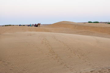 Rahjastan Desert