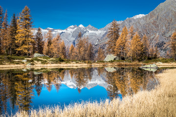Fototapeta na wymiar Adamello Brenta natural park, San Giuliano Lakes, Trentino Alto Adige, Italy