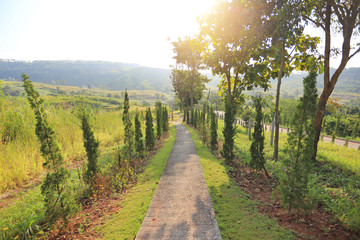 Fototapeta na wymiar Walkway in hillside with morning sunlight.