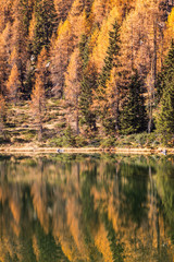 Adamello Brenta natural park, San Giuliano Lakes, Trentino Alto Adige, Italy