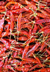 Dry Red Chilies Vertical Photo Background