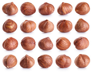 Hazelnut collection isolated on white background.