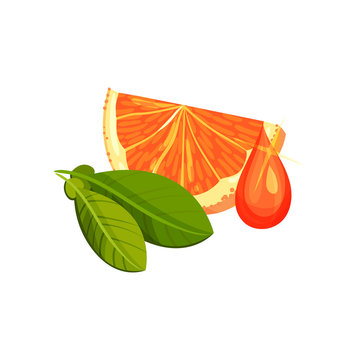 Slice Of Orange, Oil Drop And Green Leaves. Vitamin C. Natural Moisture Cosmetic For Skin Care. Flat Vector Icon