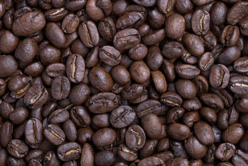 Naklejka premium Coffee Beans