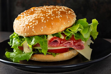 One sandwich with salami, cheese, tomatoes and sauces