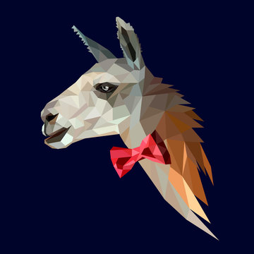 Llama hipster in a red bow tie