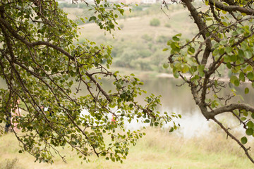 Mountains during sunset. Beautiful natural landscape in the summer time