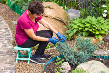Garden work. Positive senior woman cutting coniferous plant using a hedge shears sitting on a folding garden chair on her backyard 