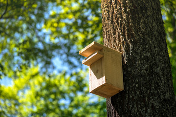 Wooden bird cage attached to tree deep in forest. Birds nest in spring or autumn. Concept of having a cosy house for family