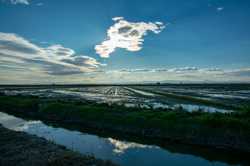 Obraz premium Atardecer