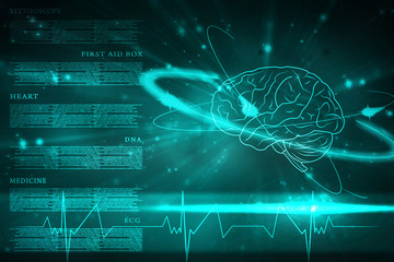 Human brain 2d illustration

