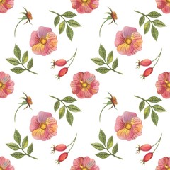 Seamless pattern with flowers and rose hips in watercolor style. Can be used for fabric, wrapping paper, postcard design, invitations, greetings, etc.