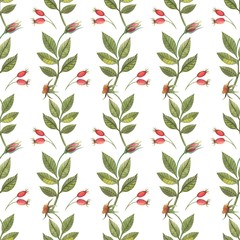 Seamless pattern with flowers and rose hips in watercolor style. Can be used for fabric, wrapping paper, postcard design, invitations, greetings, etc.