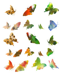 collection of multicolored butterflies. watercolor painting