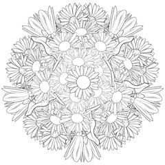 vector drawing flower of lily