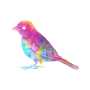 recommend clip art: watercolor silhouette of bird