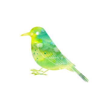 recommend clip art: watercolor silhouette of bird