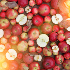 Naklejka na ściany i meble Thanksgiving background with apples, acorns, berries and fall leaves on the old wooden background. Autumn background with copy space. Abundant harvest concept.