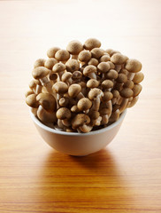 Fresh hot pot ingredients, mushrooms