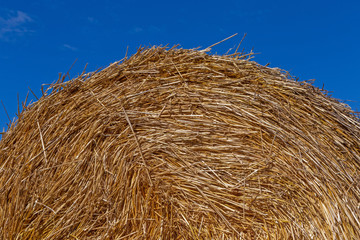 close up of round stack of straw against blue sky