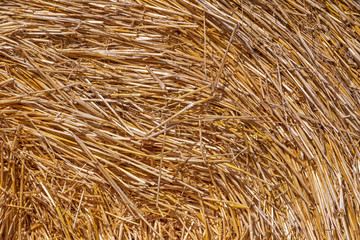 close up of straw in stack