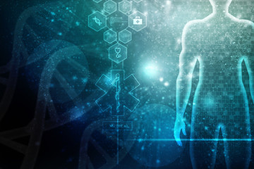 2d illustration Human Male Muscle Body