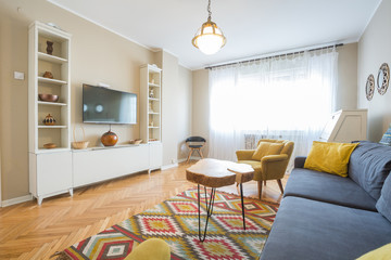 Modern cozy living room interior