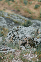 The bends of the river and the beautiful cliffs. Summer nature and texture of the stones with streaks.