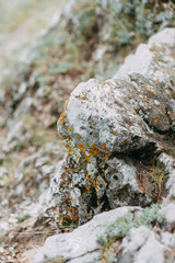 The bends of the river and the beautiful cliffs. Summer nature and texture of the stones with streaks.